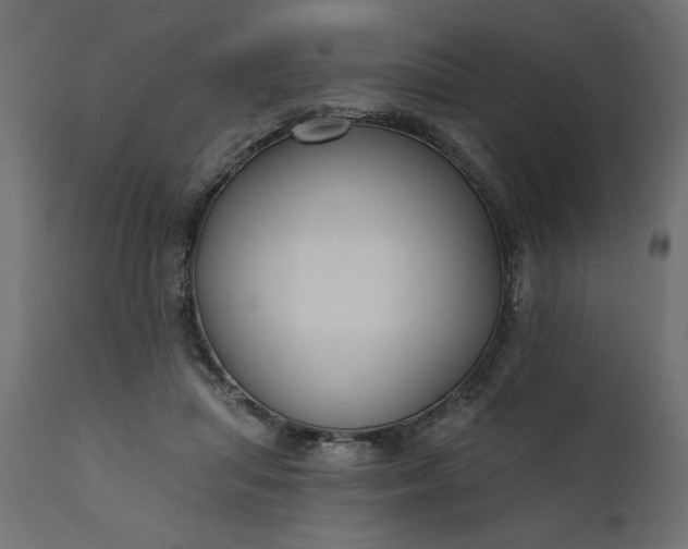 X0000110700455200906261412