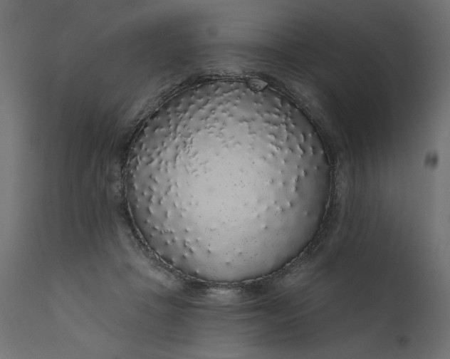 X0000110700457200906261412