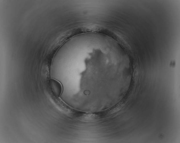 X0000110700459200906261412