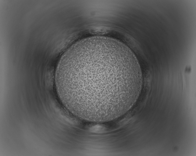 X0000110700460200906261412