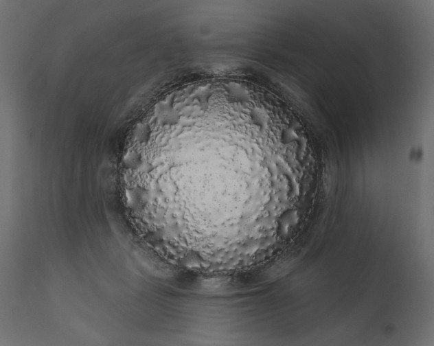 X0000110700461200906261412