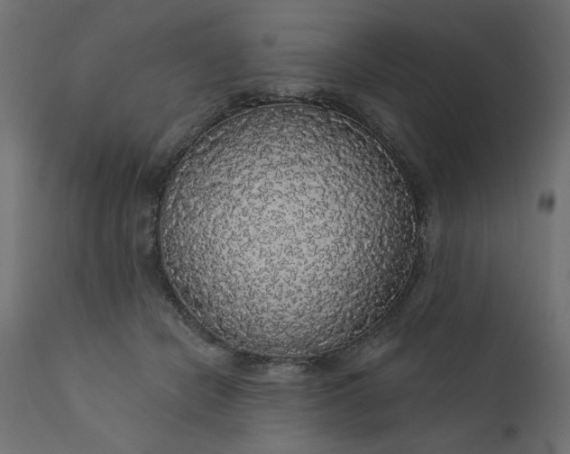 X0000110700462200906261412