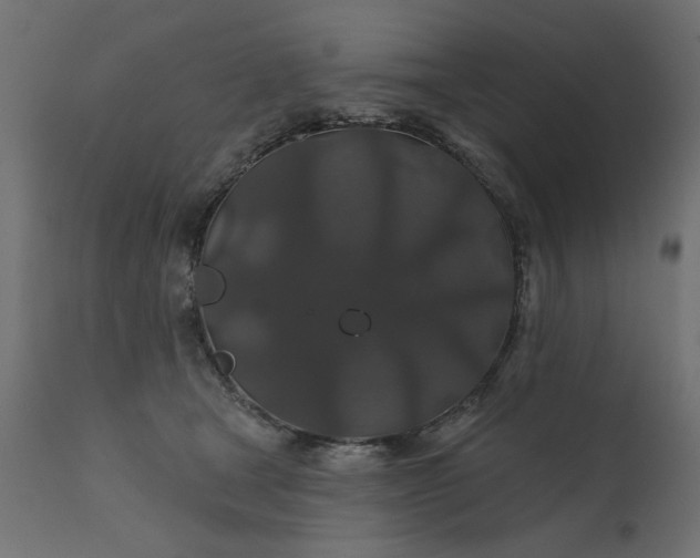 X0000110700465200906261412