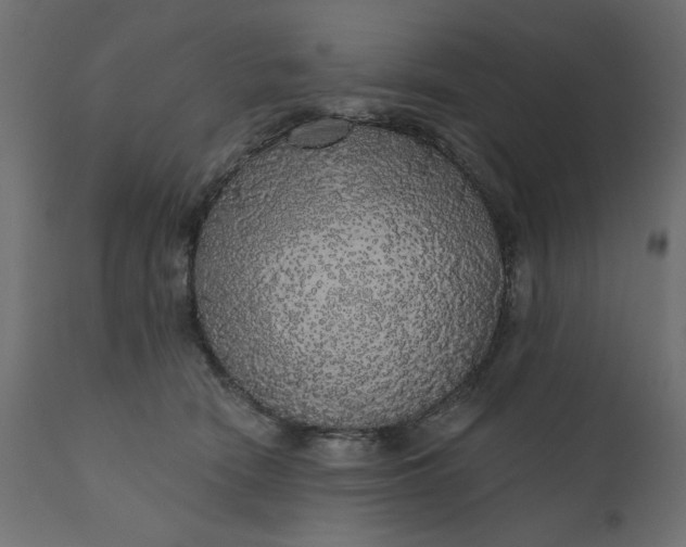 X0000110700466200906261412