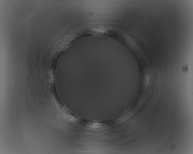 X0000110700467200906261412