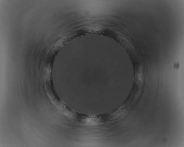 X0000110700468200906261412