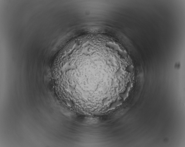 X0000110700469200906261412