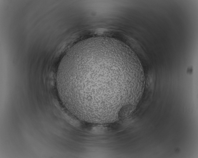 X0000110700470200906261412