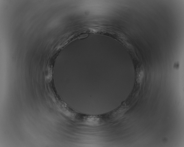 X0000110700471200906261412