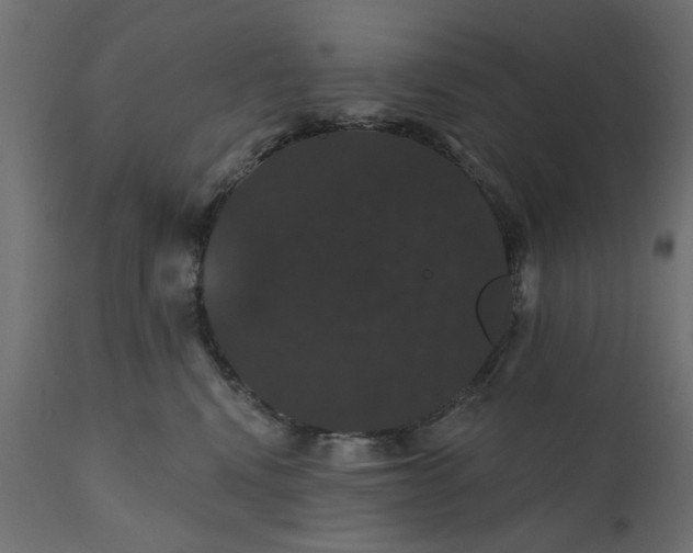 X0000110700472200906261412