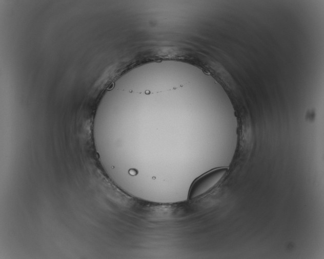 X0000110700473200906261412