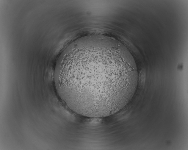 X0000110700474200906261412