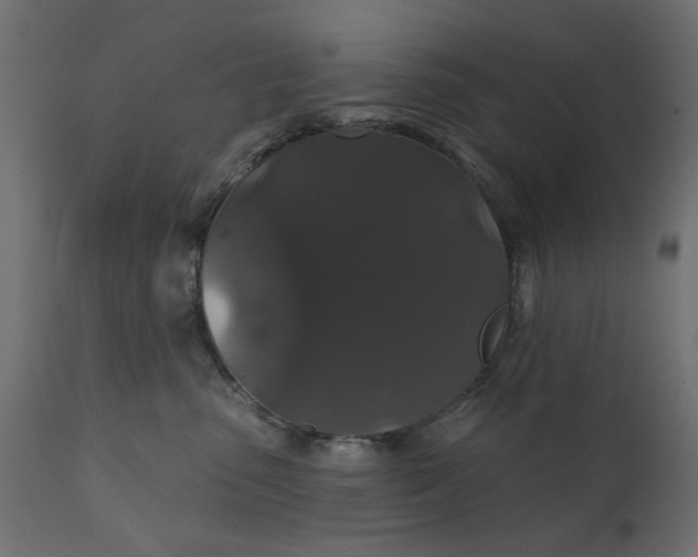 X0000110700475200906261412