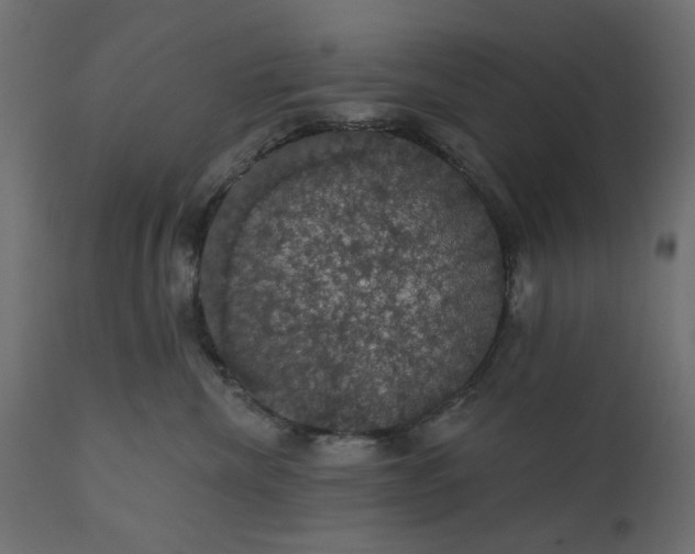 X0000110700476200906261412