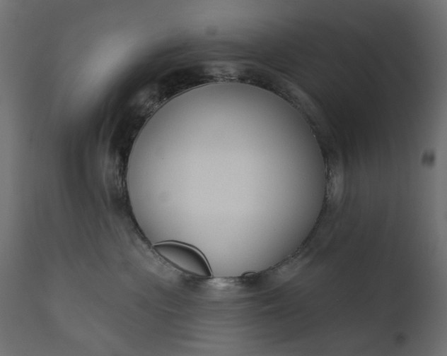 X0000110700477200906261412