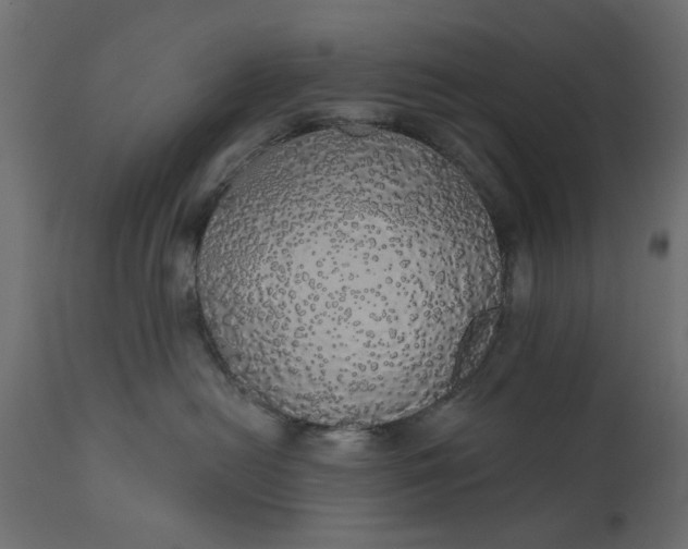 X0000110700478200906261412