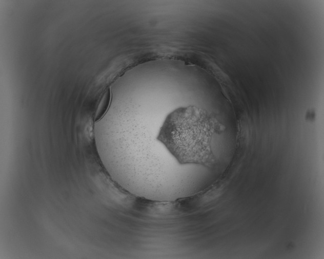 X0000110700479200906261412