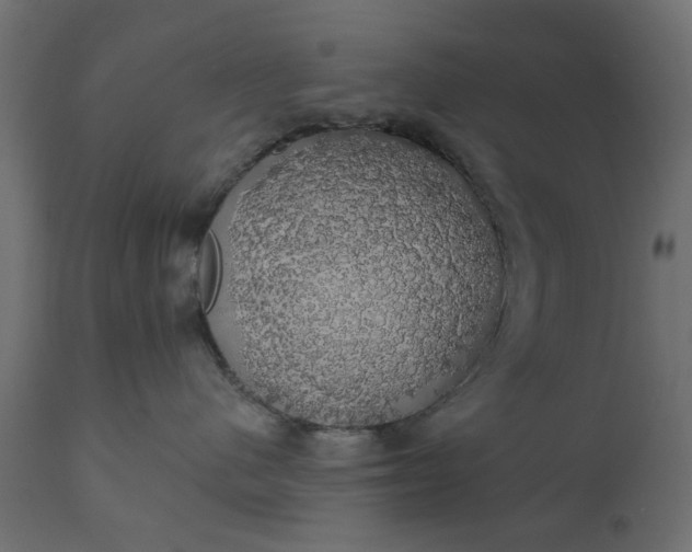 X0000110700480200906261412