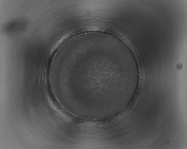 X0000110700482200906261411