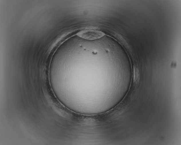 X0000110700483200906261411