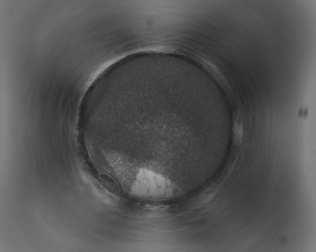 X0000110700484200906261411