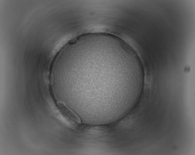 X0000110700485200906261411