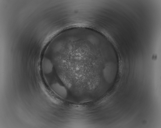 X0000110700486200906261411