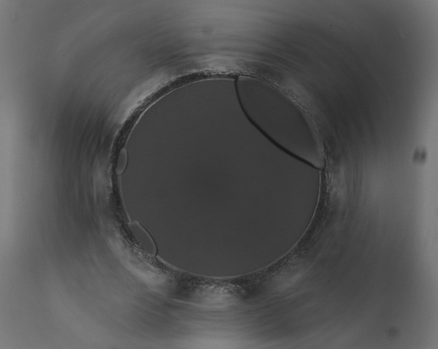 X0000110700488200906261411