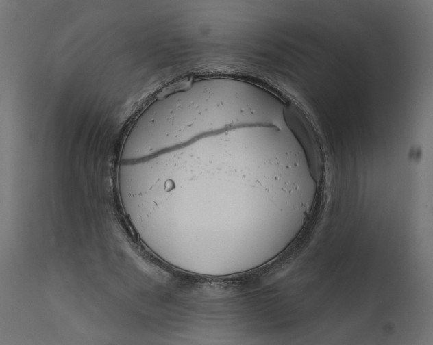 X0000110700489200906261411