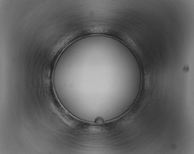 X0000110700490200906261411