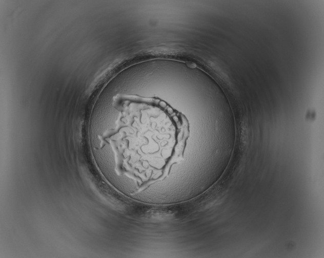 X0000110700491200906261411