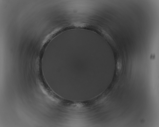 X0000110700492200906261411