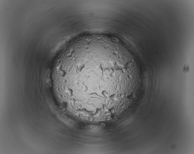 X0000110700495200906261411