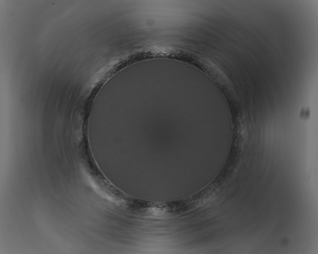 X0000110700496200906261411