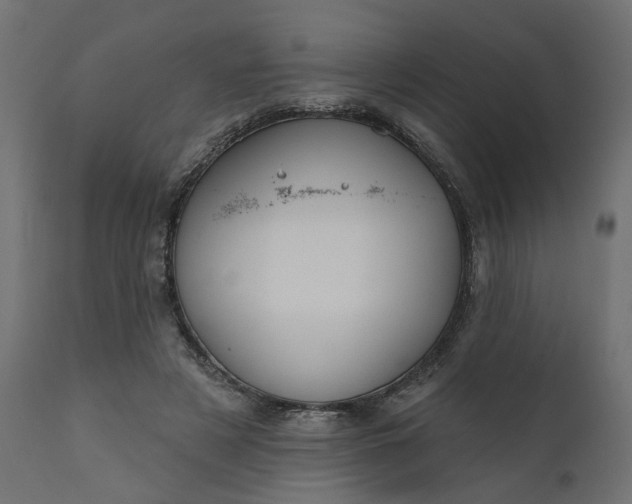 X0000110700497200906261411