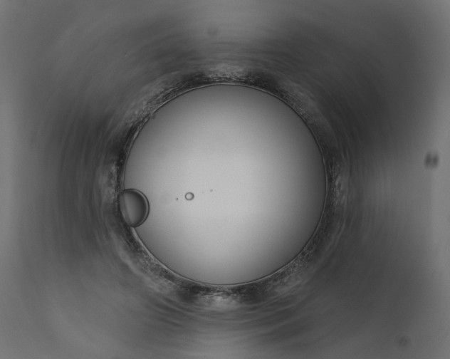 X0000110700498200906261411