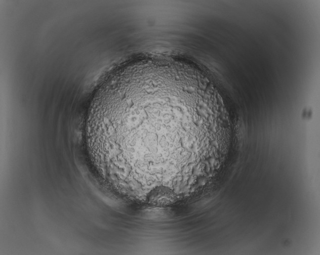 X0000110700499200906261411