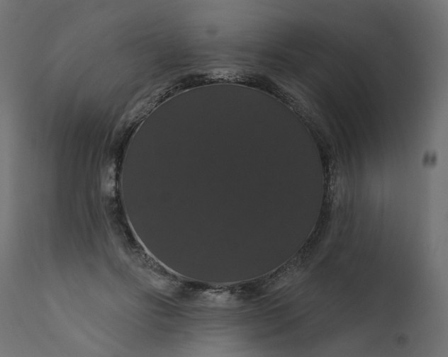 X0000110700502200906261411