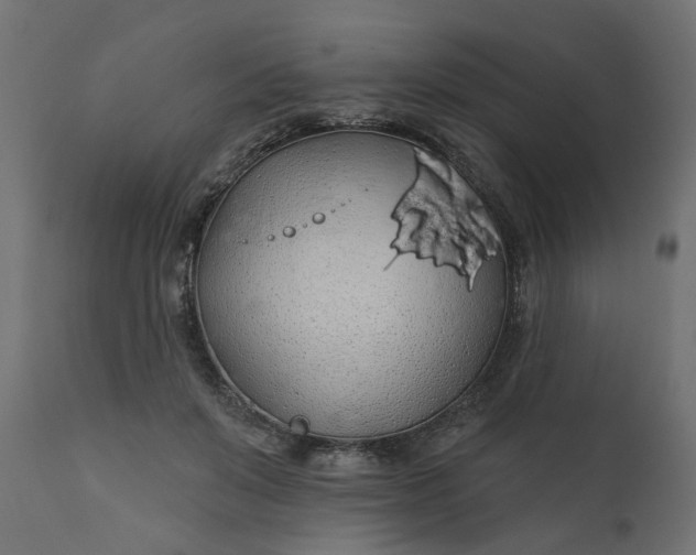 X0000110700503200906261411