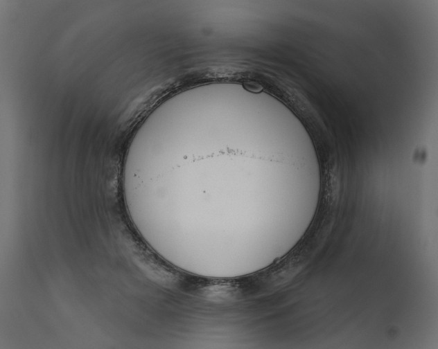 X0000110700505200906261411