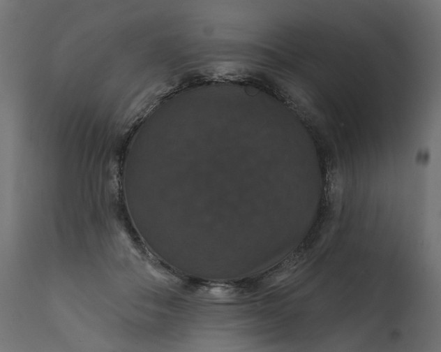 X0000110700506200906261411