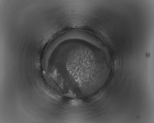 X0000110700508200906261411