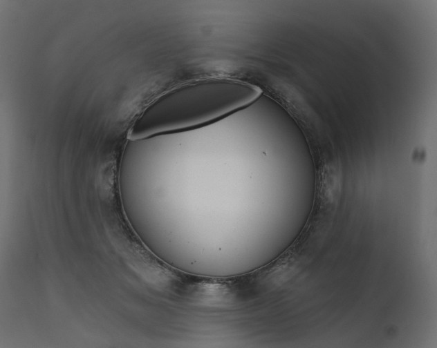 X0000110700509200906261411