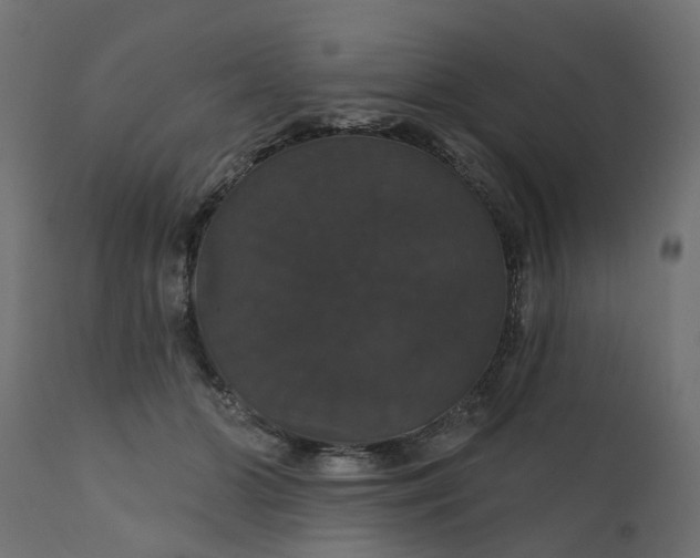 X0000110700510200906261411