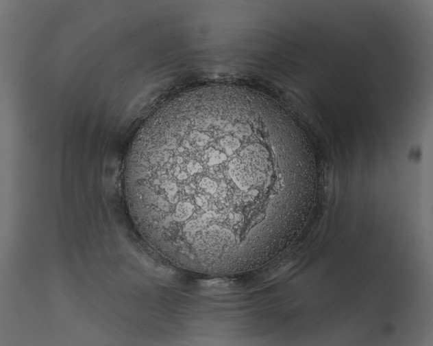 X0000110700511200906261411