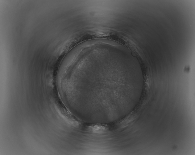 X0000110700512200906261411