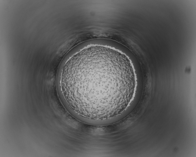 X0000110700513200906261411