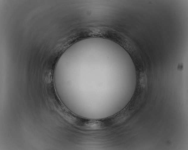 X0000110700514200906261411