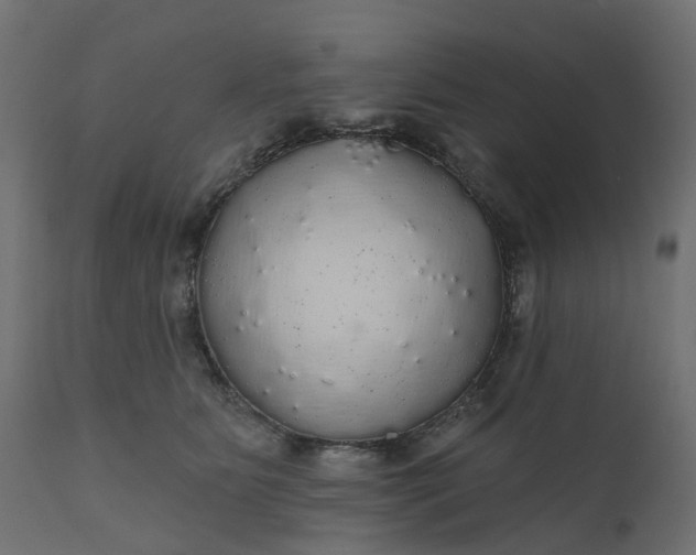 X0000110700515200906261411