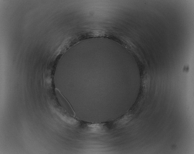 X0000110700516200906261411